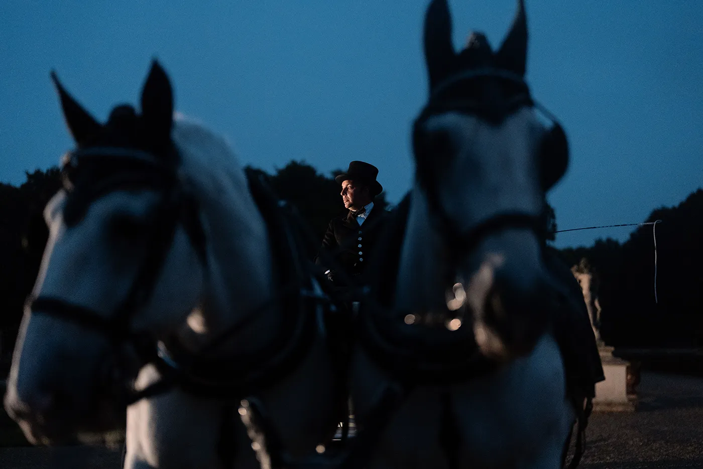 Horse-drawn carriage driver waits beside two white horses during an evening proposal celebration at Château de Vaux-le-Vicomte.